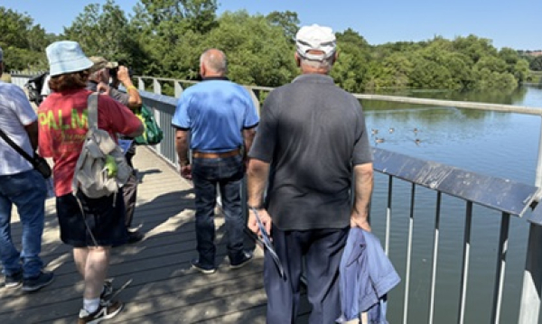 Birdwatching for Better Mental Health