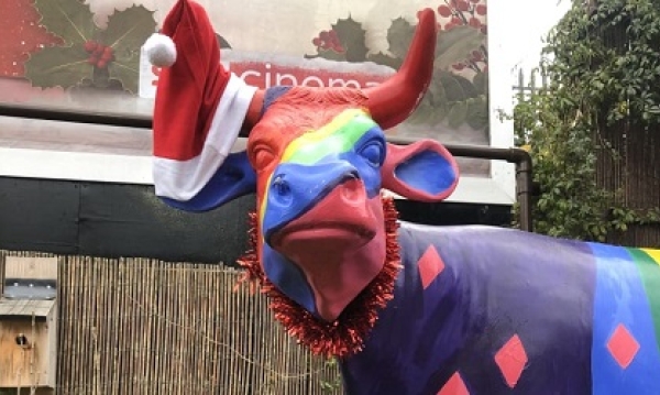 Mooing accounts 