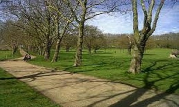 Mental Health – Naturally