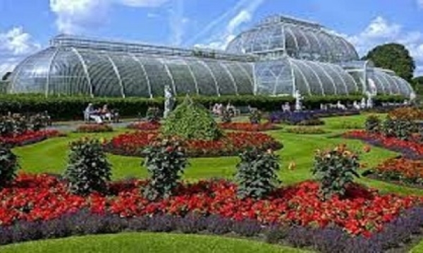 ​Kew to go