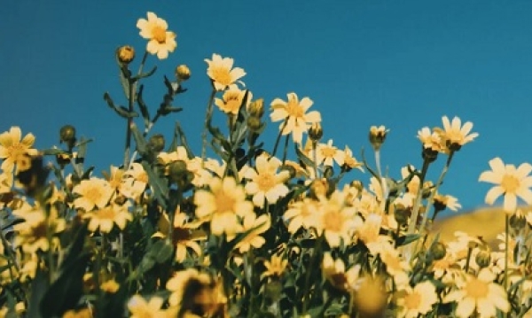 Summer arrived 