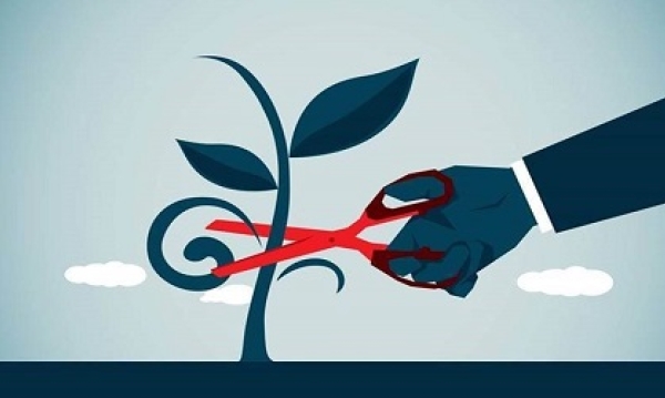Short-term results at the expense of long-term needs