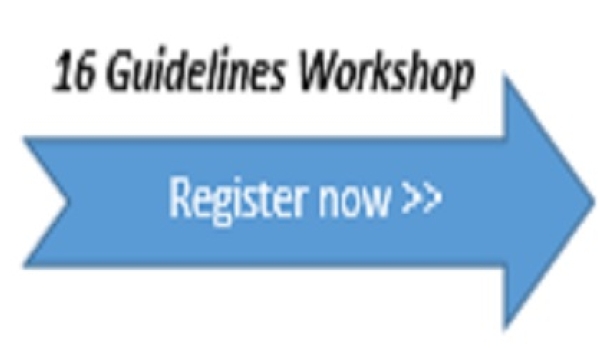 16 Guidelines Worshop