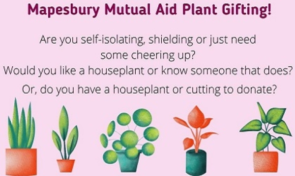 Mapesbury Mutual Aid Plant Gifting