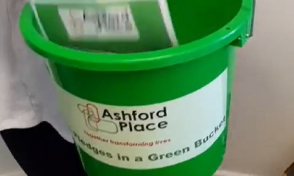 The Green Pledge