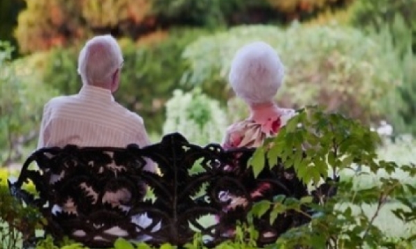 Irish Elders