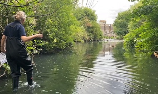 Mind yourself and look after our environment