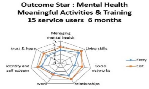 Mental Health Wellbeing Project