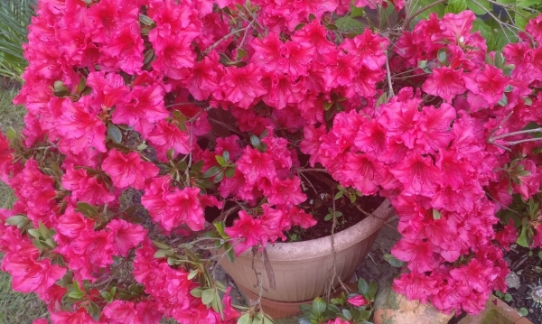 Spring has Sprung!